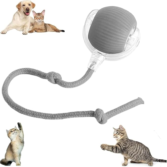 Pelota inteligente interactiva para mascotas