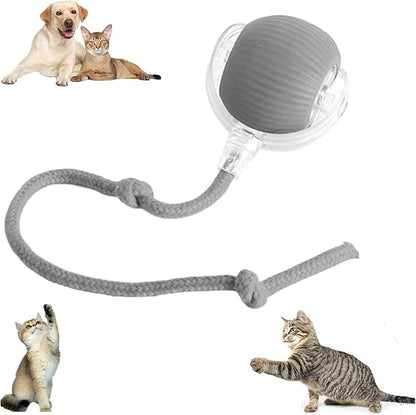 Pelota inteligente interactiva para mascotas